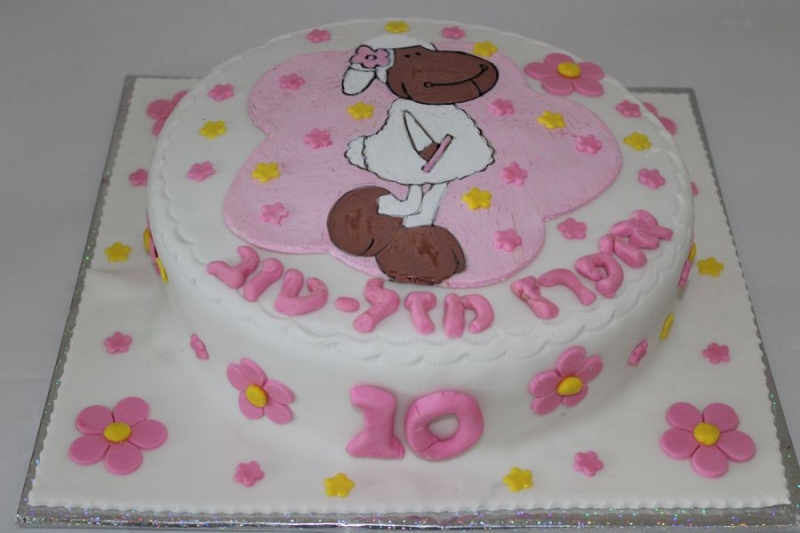 עוגת יום הולדת הכיבסה ניקי